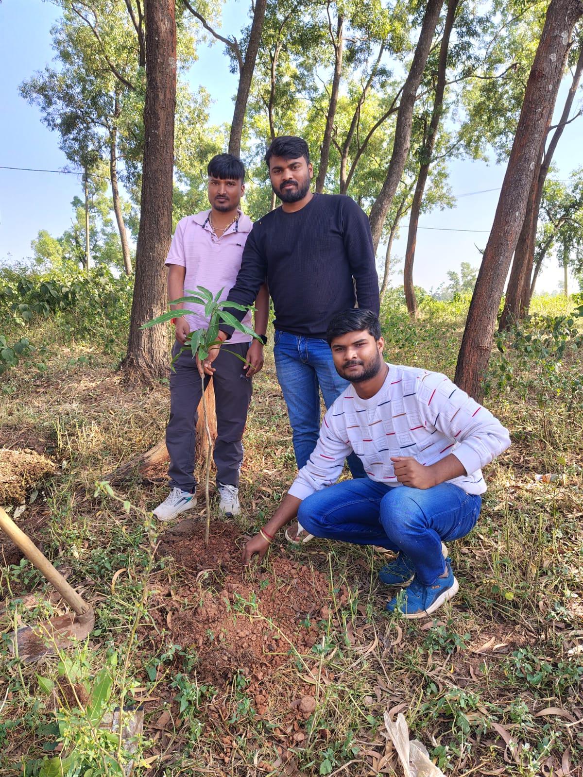 Community Tree Plantation